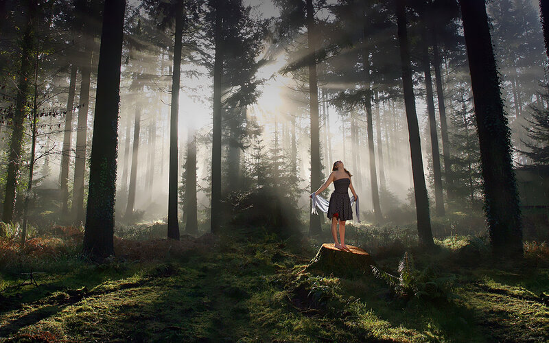 Woman in Forest — Green, Serene, Morning, Photograph, Sunlight, Tree Stump