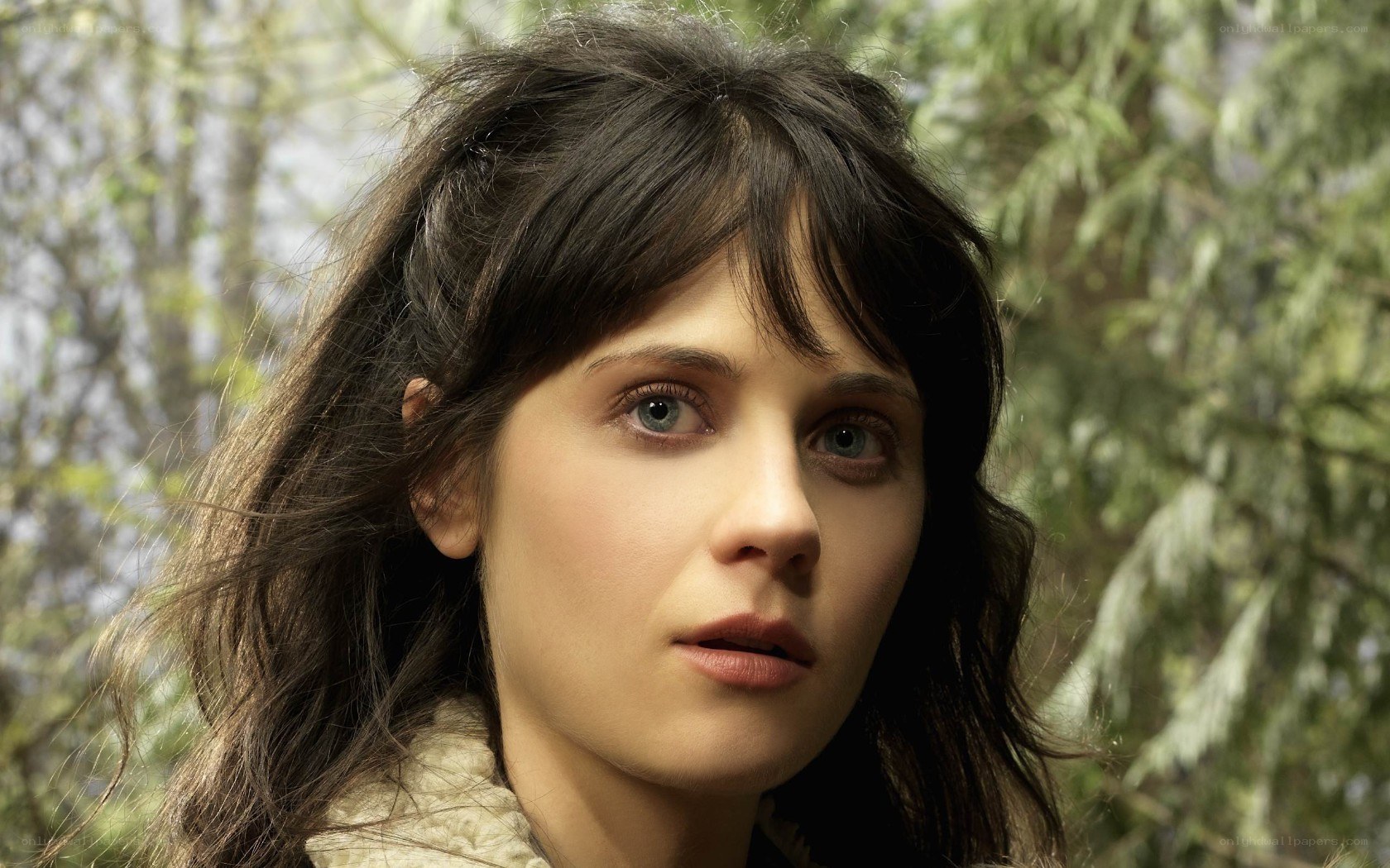 woman in forest looking at camera