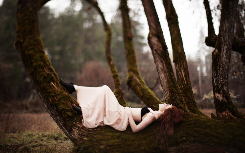 woman in forest on mossy tree