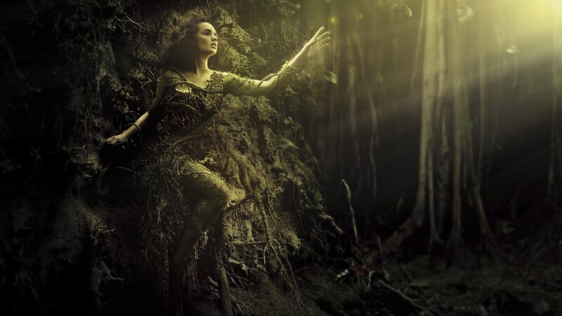 Woman in Forest Roots — Green