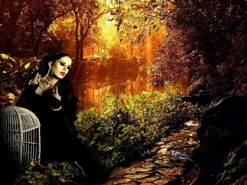 woman in forest with birdcage
