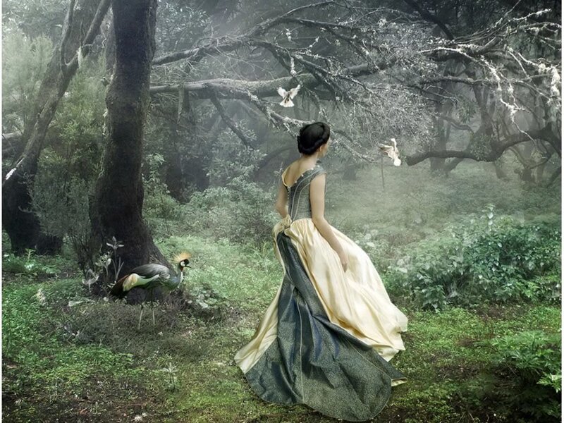 Woman in forest with birds