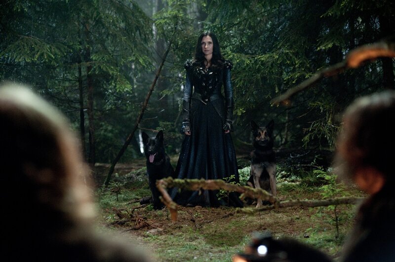Woman in forest with dogs