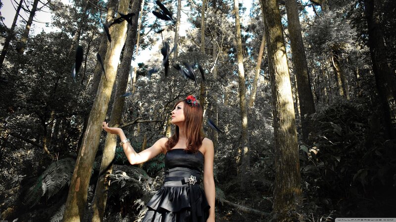 Woman in forest with falling feathers