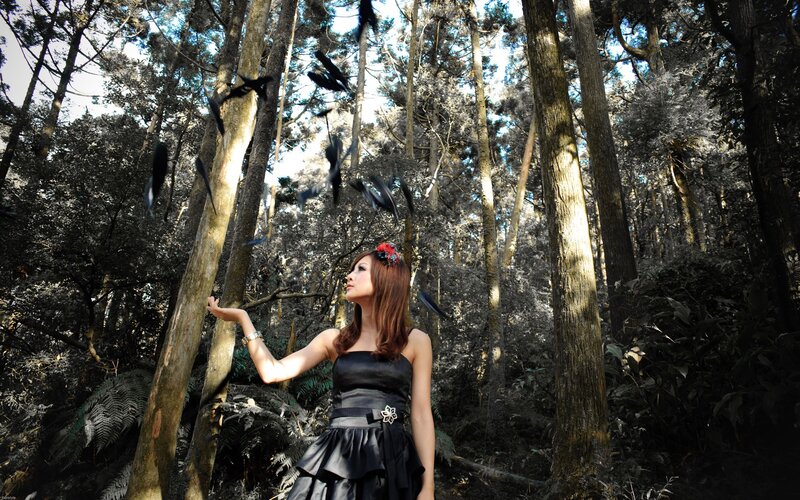 Woman in forest with falling feathers