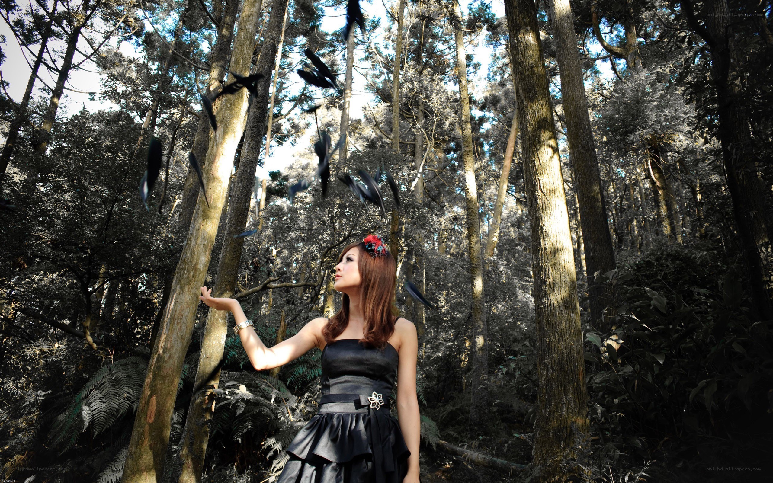 Woman in forest with falling feathers