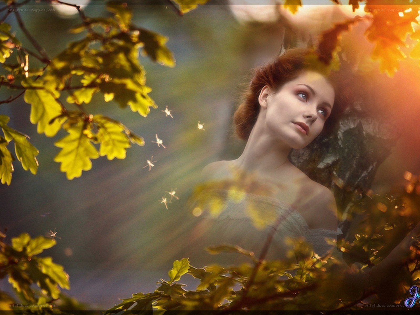 woman in forest with fireflies