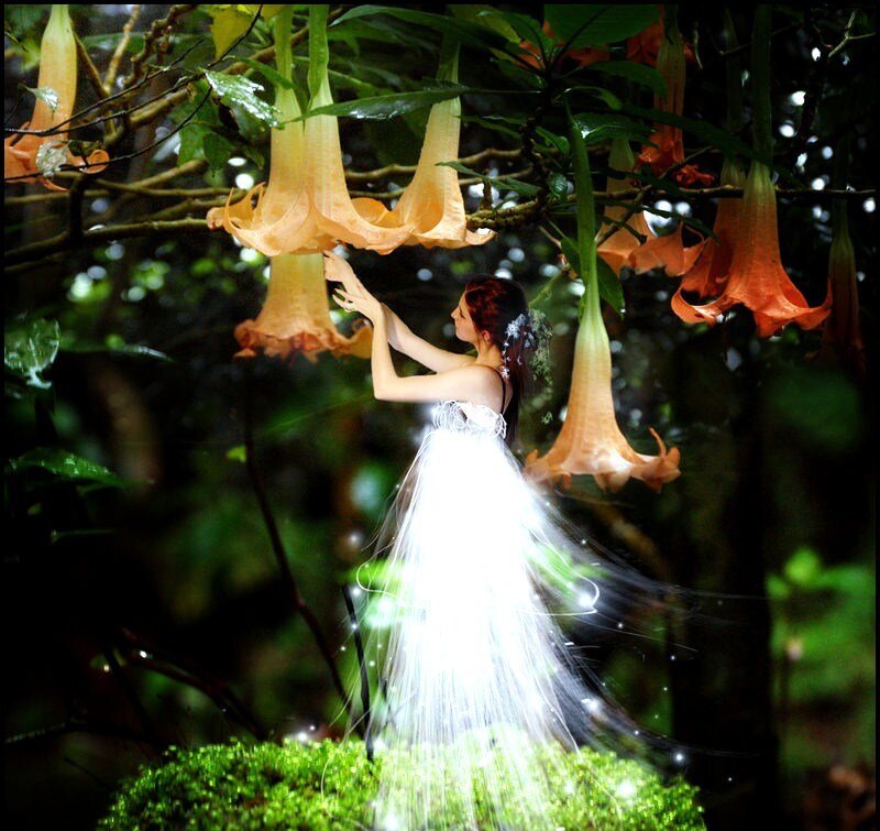 woman in forest with flowers