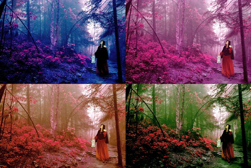Woman in Forest with Lantern — Purple