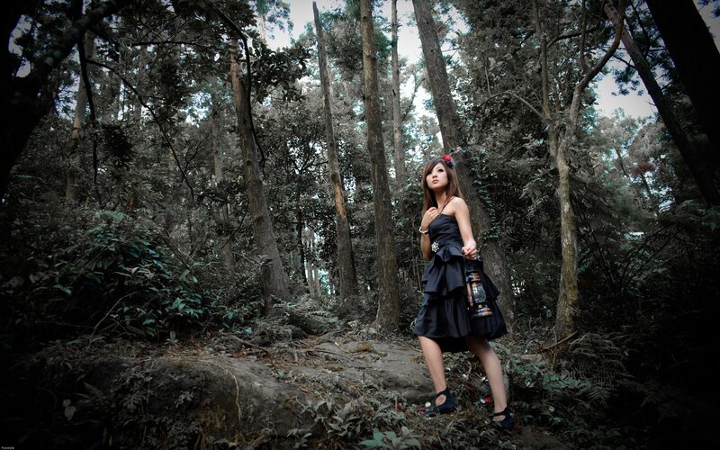 Woman in forest with lantern