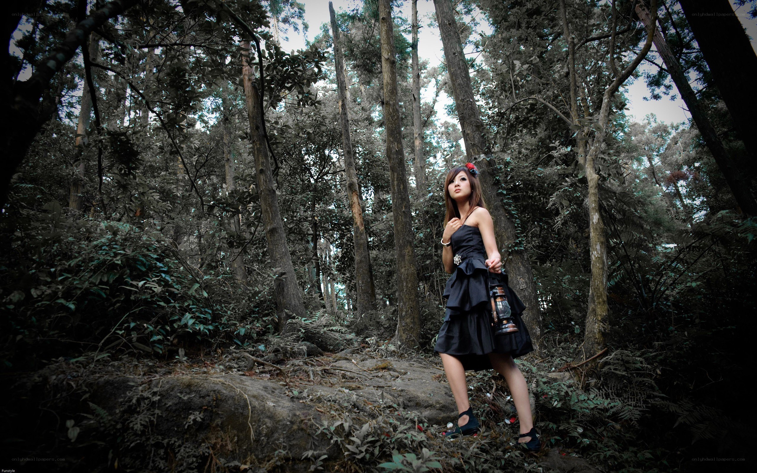 Woman in forest with lantern