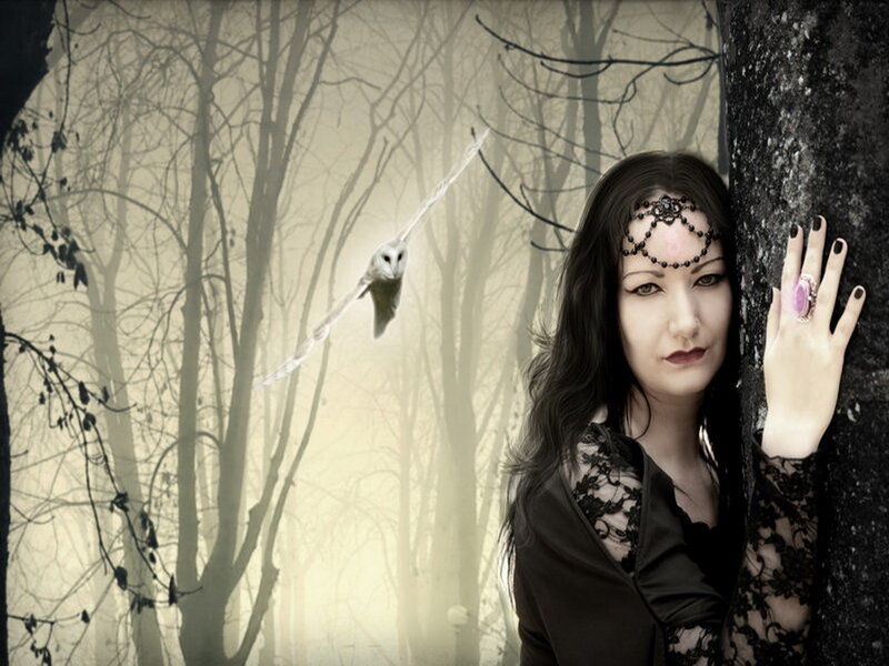 Woman in Forest with Owl — Black