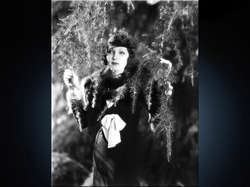 Woman in Fur Coat — Black, Dramatic, Winter
