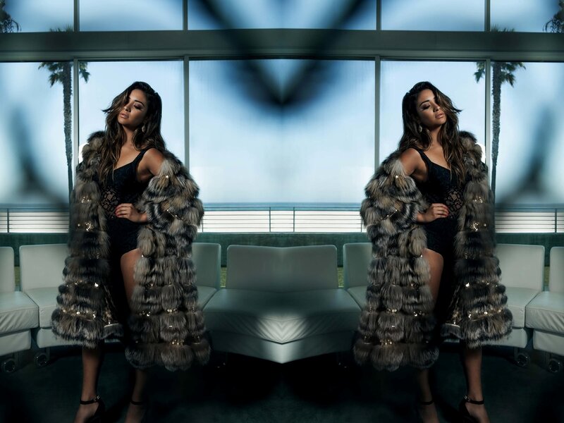 Woman in Fur Coat — Gray, Dramatic, Afternoon
