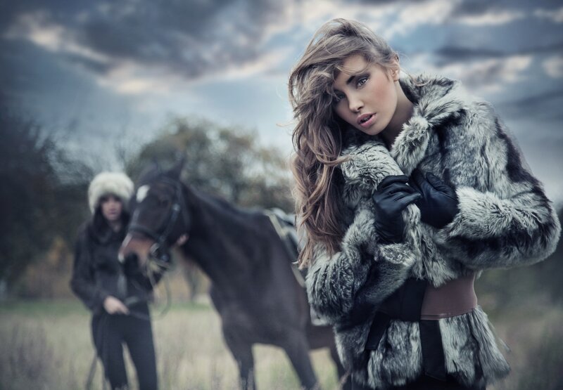 Woman in Fur Coat — Gray, Dramatic, Autumn