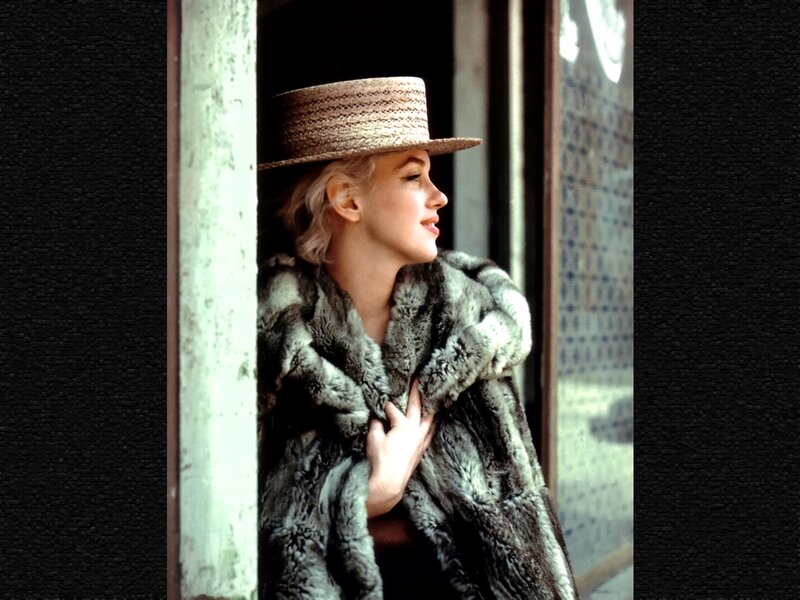 Woman in Fur Coat — Gray, Serene