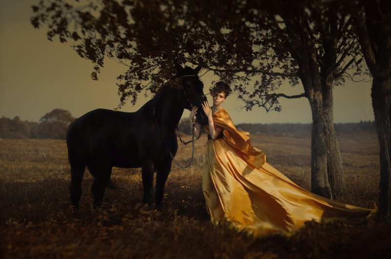 Woman in Gold Dress with Horse