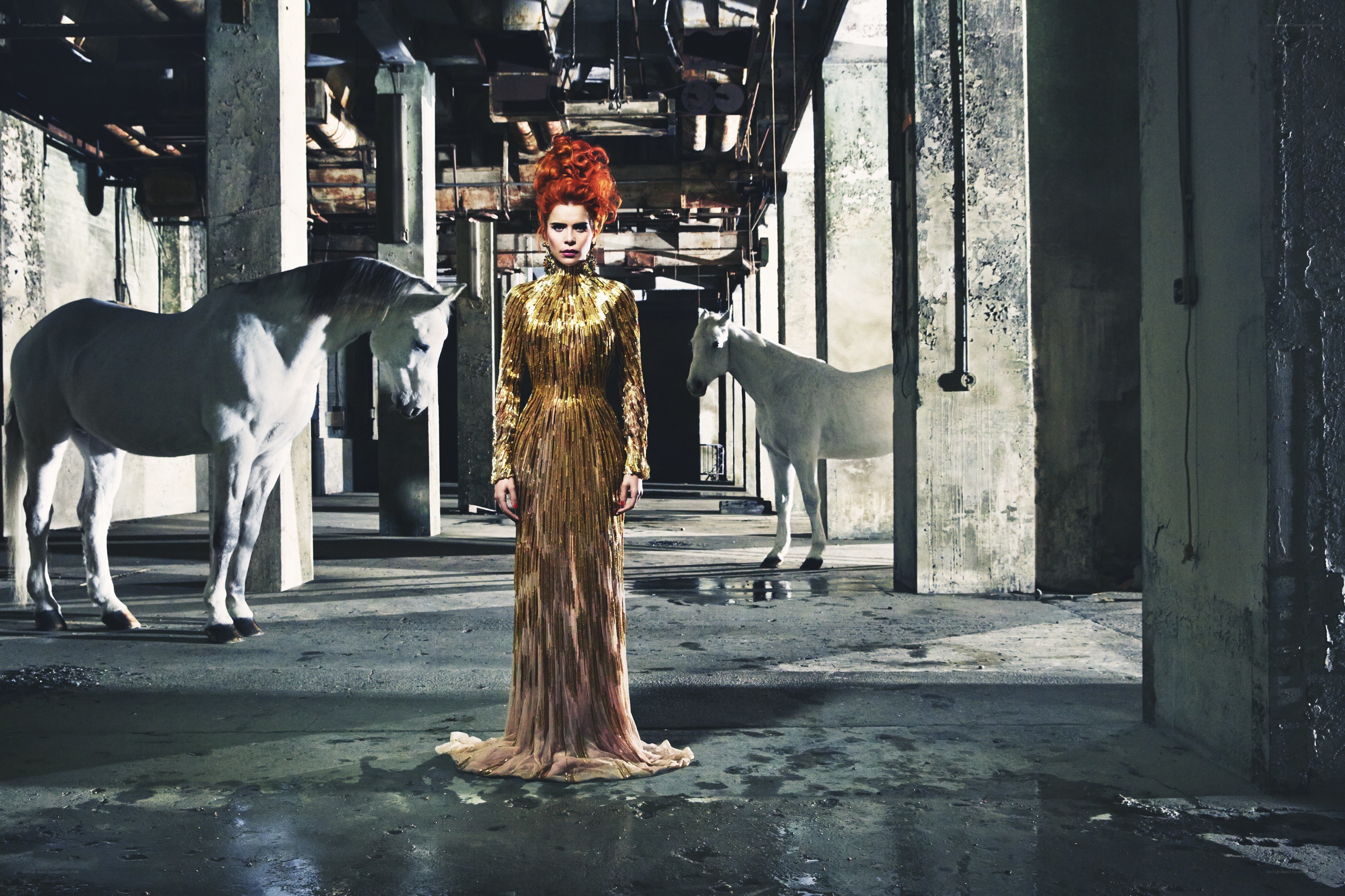 Woman in gold dress with horses