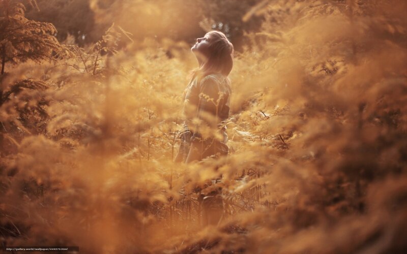 woman in golden field
