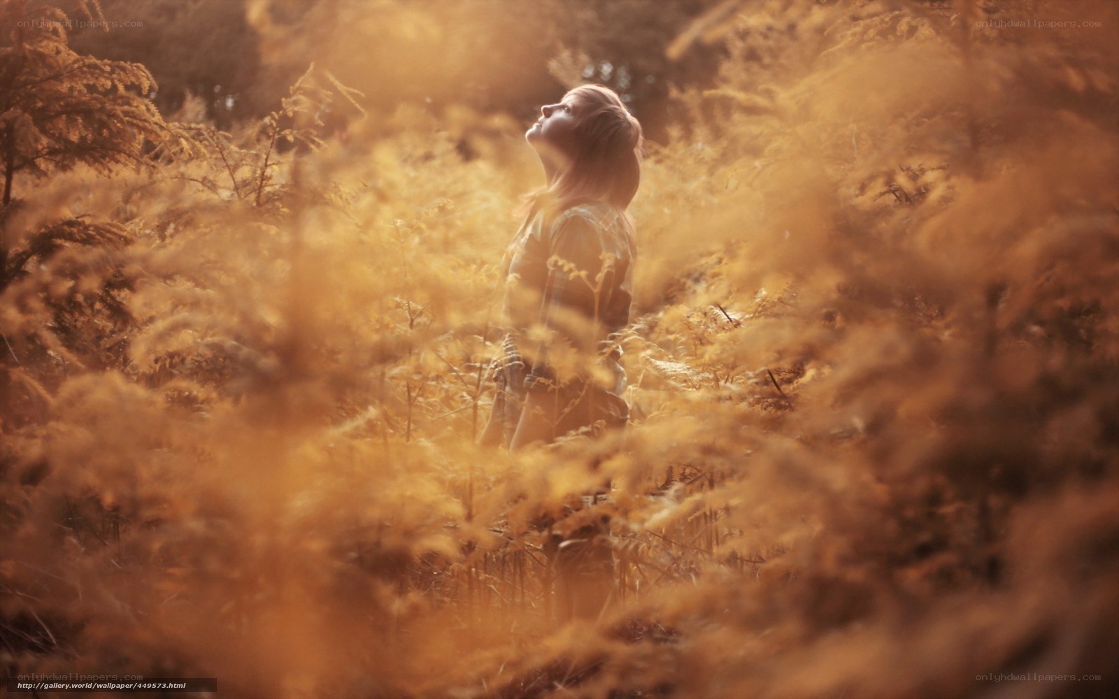 woman in golden field