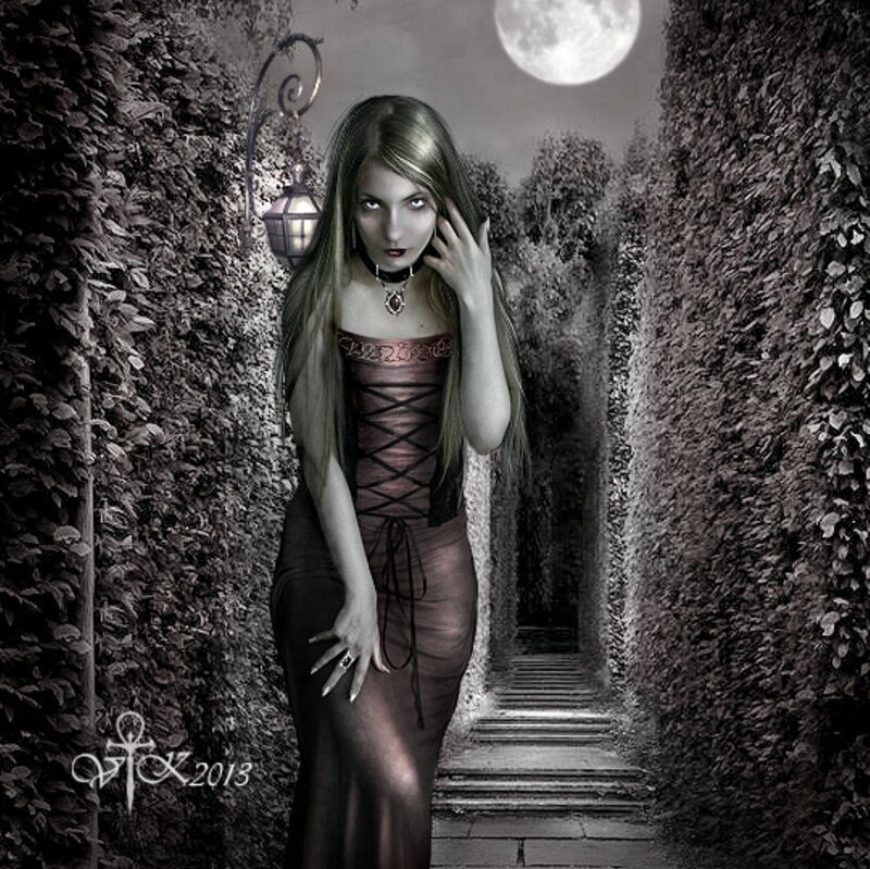 Woman in Gothic Dress — Black, Dramatic, Night, Digital Art, Moon