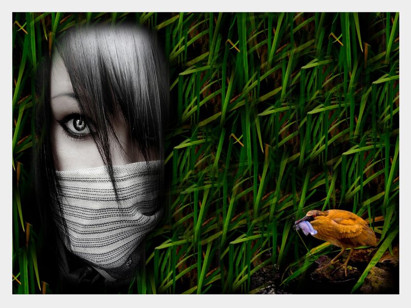 woman in grass with bird