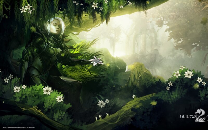 Woman in Green Armor — Serene