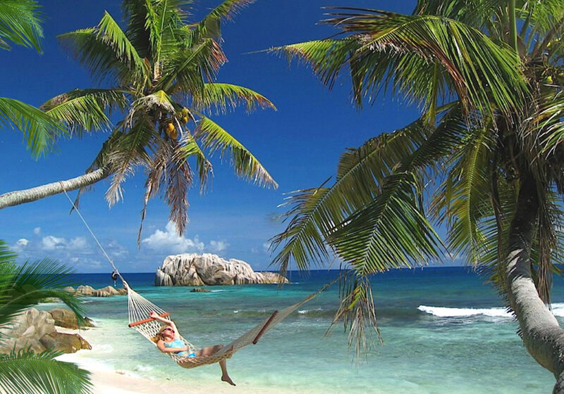 Woman in Hammock — Blue, Relaxed, Afternoon, Photograph, Palm Trees