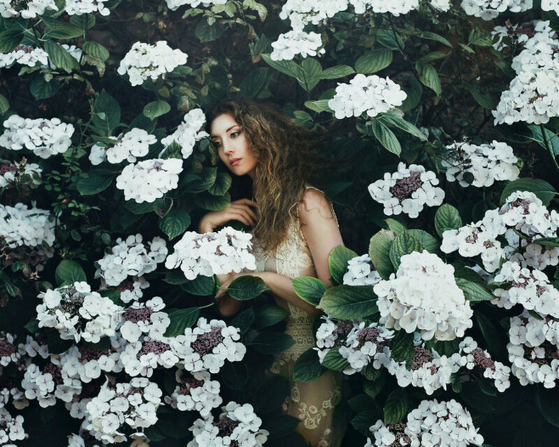 Woman in Hydrangea Bush — White