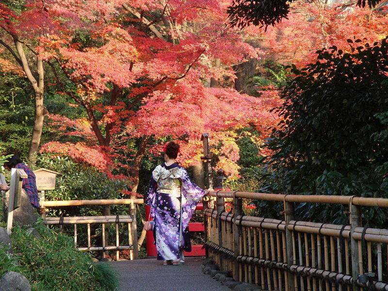 Woman in Kimono on Bridge