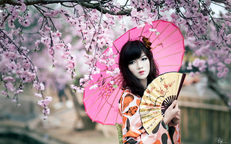 Woman in Kimono — Pink, Serene, Spring, Photograph, Cherry Blossoms