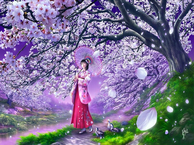 Woman in kimono under cherry blossoms
