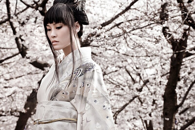woman in kimono under cherry blossoms