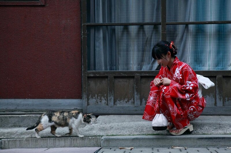 Woman in kimono with cat