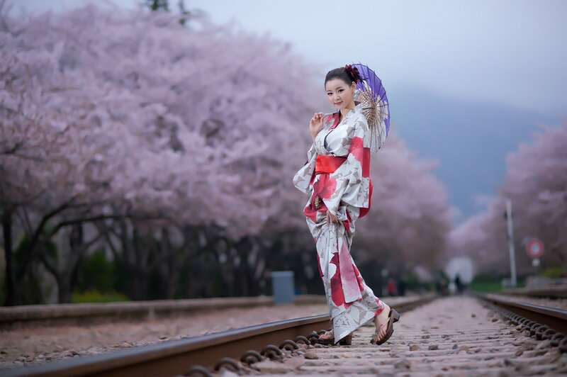 Woman in kimono with cherry blossoms