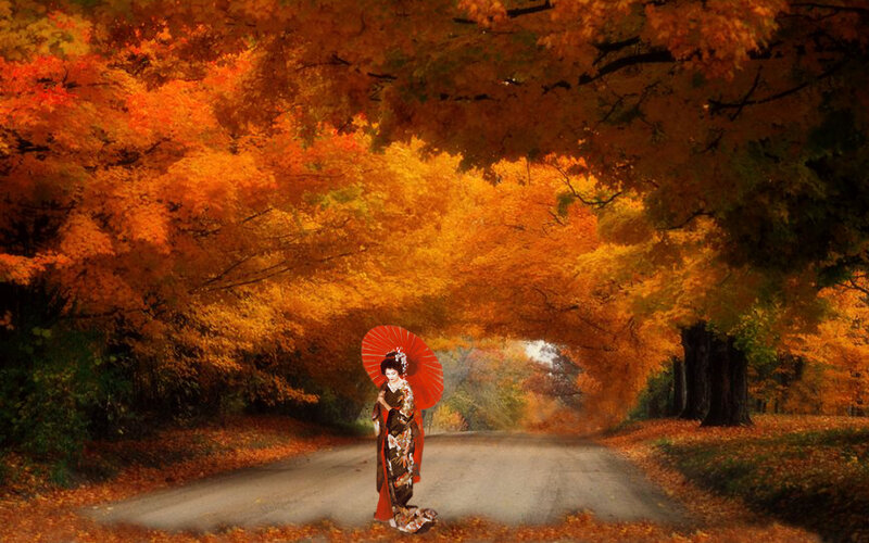 Woman in Kimono with Parasol — Orange