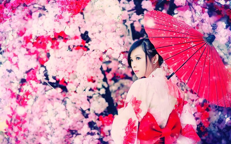 Woman in Kimono with Umbrella — Pink, Serene, Spring, Photograph