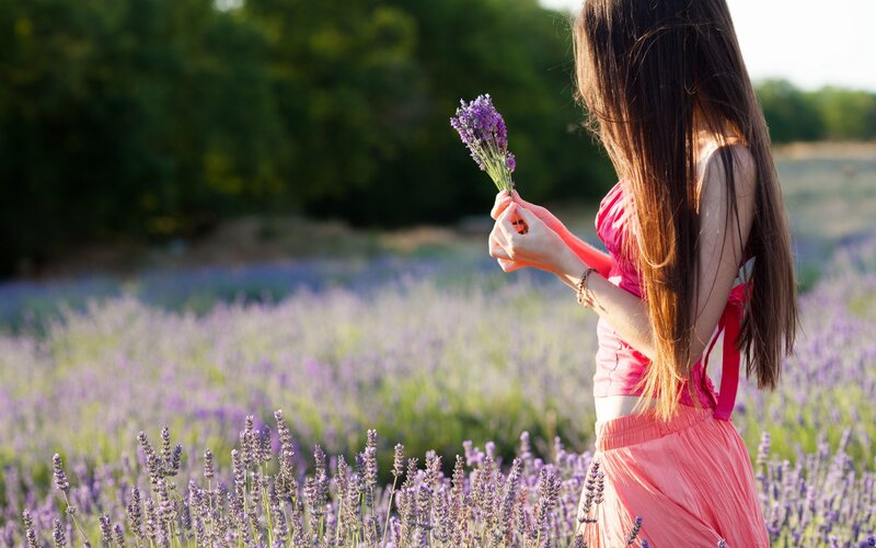 woman in lavender field