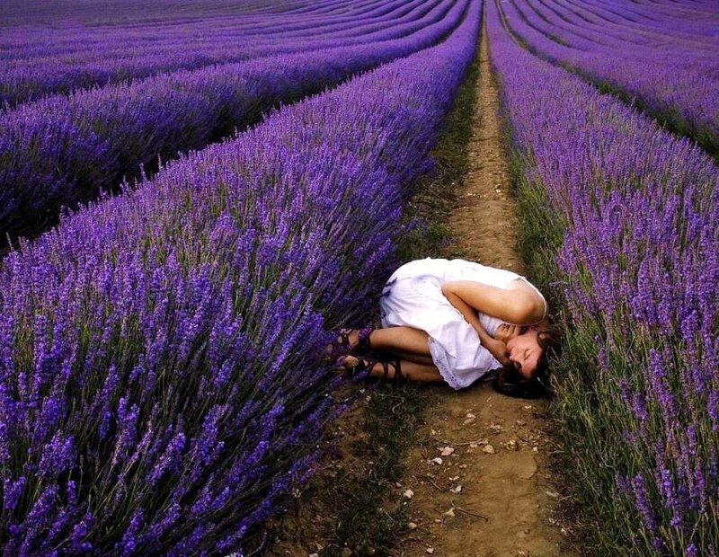 Woman in lavender field