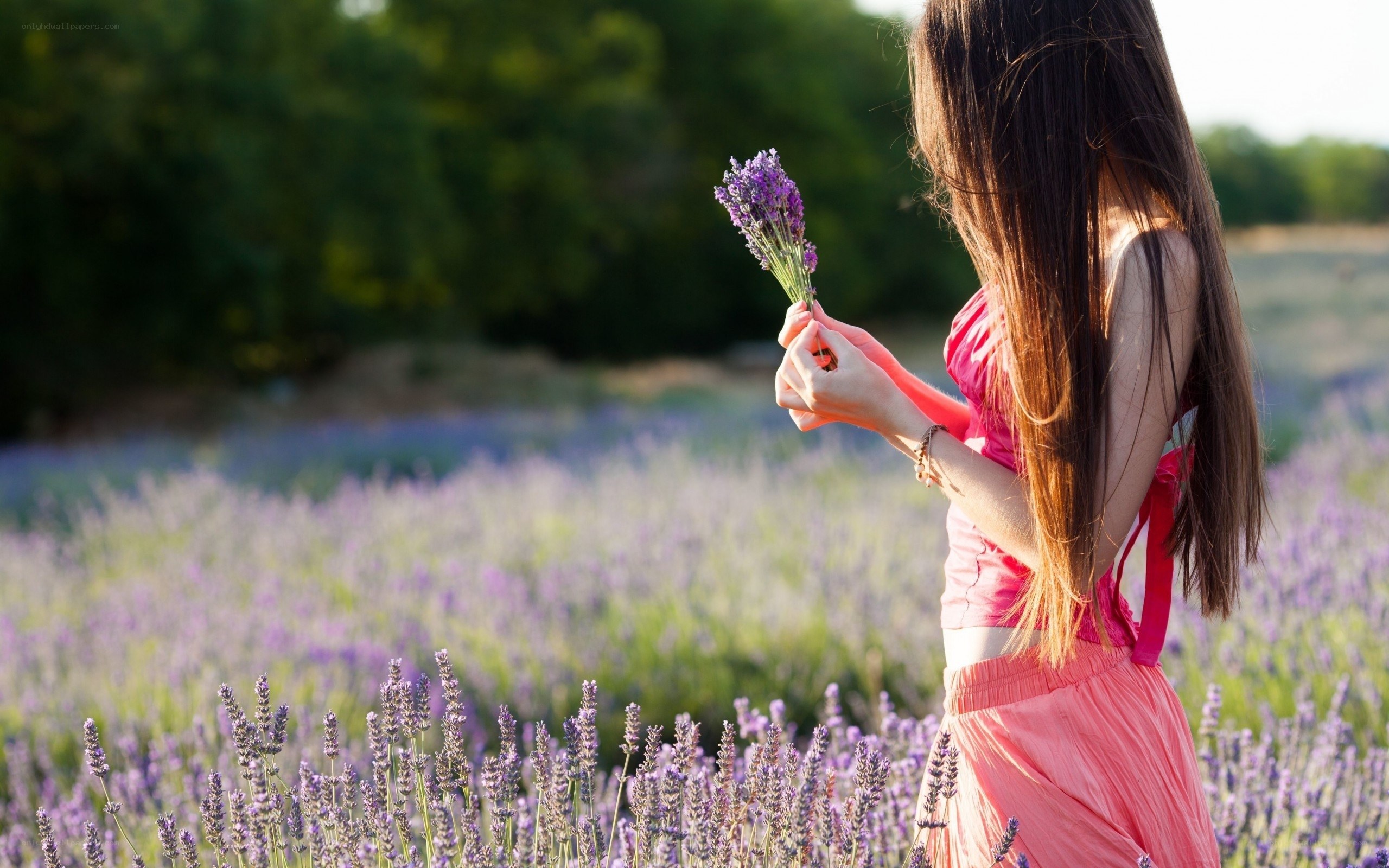 Woman in lavender field
