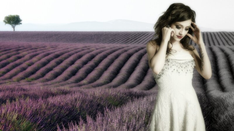 woman in lavender field