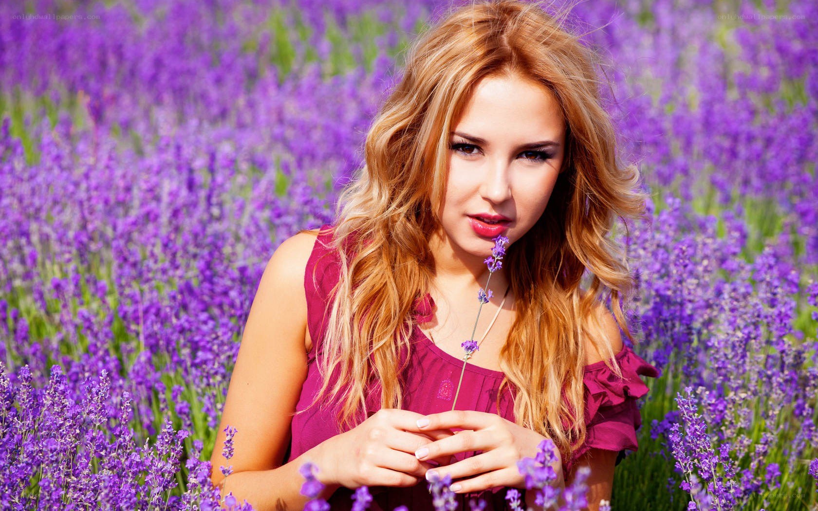 woman in lavender field