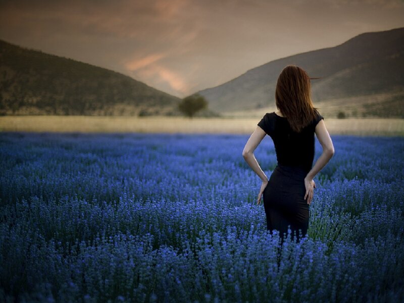 Woman in Lavender Field — Blue