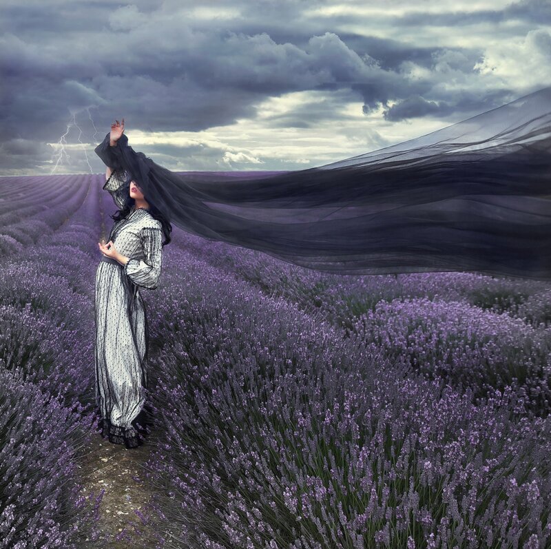 Woman in Lavender Field — Purple, Dramatic, Afternoon, Digital Art