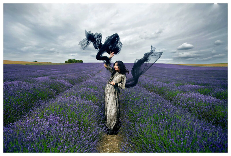 Woman in Lavender Field — Purple, Dramatic, Afternoon, Photograph