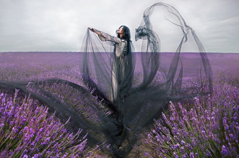 Woman in Lavender Field — Purple, Dramatic, Afternoon
