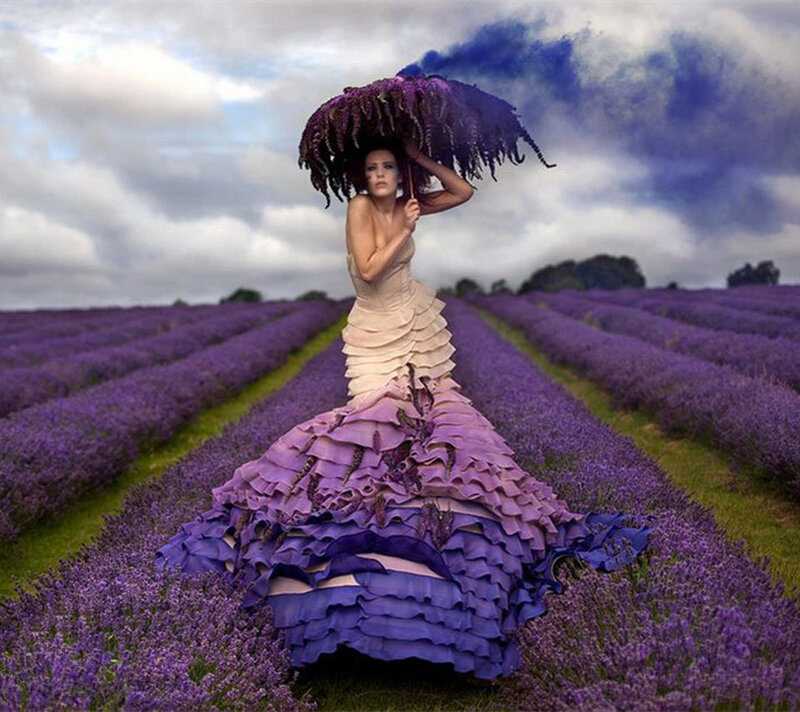 Woman in Lavender Field — Purple, Dramatic