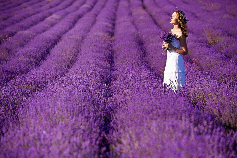 Woman in Lavender Field — Purple, Serene, Afternoon, Photograph, Dress, Flower Crown