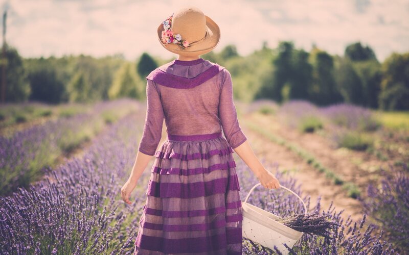 Woman in Lavender Field — Purple, Serene, Afternoon, Photograph, Hat