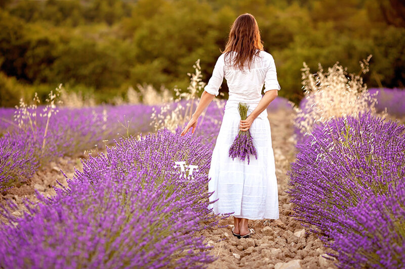Woman in Lavender Field — Purple, Serene, Sunset, Photograph, White Dress